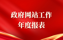 政府网站工作年度报表
